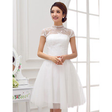 Elegant Mandarin Collar A-Line Organza Short Reception Wedding Dresses