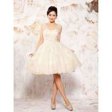 Informal Casual Straps A-Line Organza Short Beach Wedding Dresses