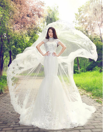Elegant Mandarin Collar Chapel Train Organza A-Line Wedding Dresses