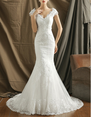 Mermaid V-Neck Organza Embroidery Wedding Dresses