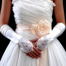 Elbow Satin Ivory Hollow Out Wedding Gloves with Applique