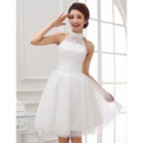 Mandarin Collar Lace A-Line Short Dresses for Wedding Reception