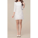 Elegant Long Sleeves Lace Sheath/ Column Short Beach Wedding Dresses