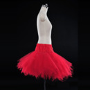 Tulle Petticoat